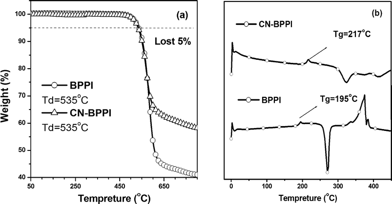 The TGA (a) and DSC (b) graphs of BPPI and CN-BPPI.