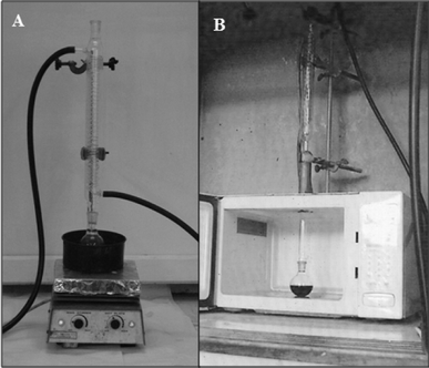 Pictorial representation of the hydrolysis of glycogen carried out under (A) an oil bath at 80 °C and (B) microwave irradiation.