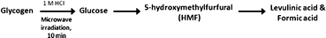 Schematic representation of hydrolysis of glycogen.