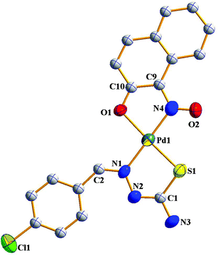 Structure of [Pd(L–Cl)(nn)].