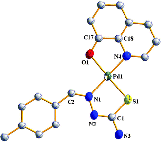 Structure of [Pd(L–CH3)(q)].
