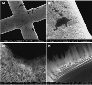 Typical SEM images of the as-prepared graphene/CNF-forest hybrid materials. (a–c) Low magnification. (d) High magnification.