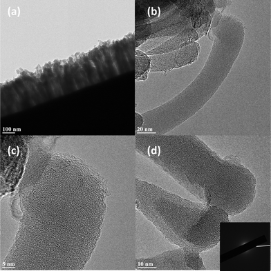 (a–b) Typical TEM images of CNFs. (c–d) HRTEM images showing the graphitic shell and amorphous interior.