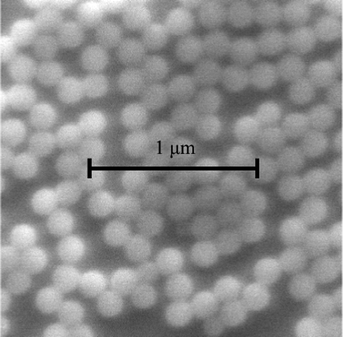 SEM of dried dilute latex PS3.