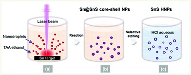 Schematic formation of SnS HNPs by combining laser ablation and chemical etching.