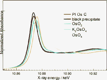 Os L3-edge XANES spectra of PI Os and reference compounds.