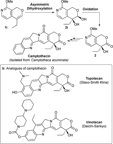 Synthesis of a key intermediate of camptothecin.