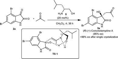 Synthesis of (R)-convolutamydine A.