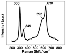 Raman spectrum of CuO NRs.