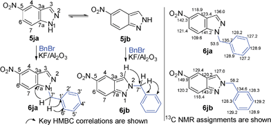 Formation of a pair of regioisomers 6ja/6jb during benzylation of 5-nitro-indazole (5j). Key HMBC correlations and 13C NMR assignments for structures 6ja/6jb are also shown.