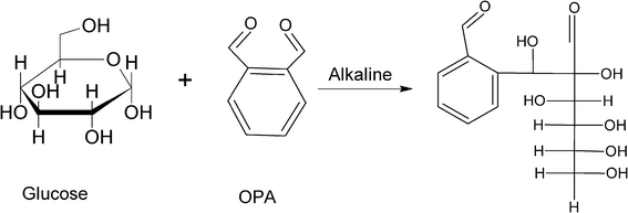 Potential carbonyl condensation mechanism for reducing sugar and OPA under alkaline conditions.