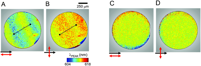 Scanning PL images of the QD–CLC sample S1. Spatially resolved QD peak emission wavelength is plotted for a planar alignment with collection polarization direction (A) parallel and (B) perpendicular to the rubbing direction. The images show a complementary color change across a step along the dotted lines. Similar scans for homeotropic alignment with (C) parallel and (D) perpendicular polarization configurations showing homogenous and polarization-independent QD emission.