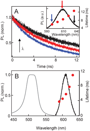 (A) Spectrally resolved, time-resolved PL taken at three points along the QD emission spectrum (indicated by arrows in the inset) for the control sample at 43 °C. Recombination times obtained from exponential fits are plotted in the inset and show the QD lifetime increasing with wavelength as a consequence of inter-QD resonant energy transfer. (B) The CLC stop-band and QD emission spectrum for the control sample at 25 °C. QD recombination decay shows one characteristic lifetime (solid circles).