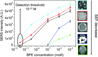 The evolution of the SERS intensity at 1605 cm−1 as a function of BPE concentration for the different substrates.
