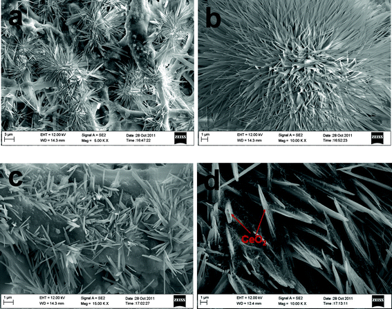 FESEM images of macroporous CeO2-added Pd catalyst synthesized via route (ii): (a) front surface; (b) single CeO2 nanoflower; (c) CeO2 nanoflower-decorated Pd network; (d) back surface.