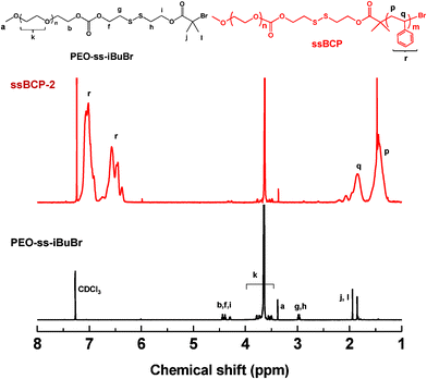 
            1H-NMR spectra of PEO–ss–iBuBr and PEO–ss–PSt (ssBCP-2) in CDCl3.