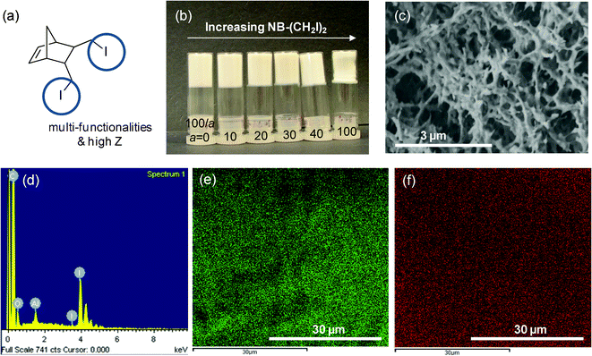 Introduction of chemical functionality into aerogels: (a) bisiodo norbornene monomer 12 as an example of a functional monomer, (b) a photo of dried P(DCPD-r-12) (100/a) (wt/wt) monoliths, (c–f) typical examples of (c) an SEM image and (d) energy-dispersive X-ray spectrum (EDS), (e) C-mapping and (f) I-mapping images of the P(DCPD-r-12) (100/100) aerogel.