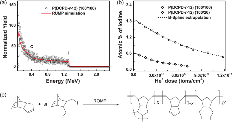 Rutherford backscattering spectrometry (RBS) analysis of P(DCPD-r-12) (100/a) (wt/wt) aerogels: (a) A typical RBS spectrum (symbols) and a RUMP-code simulation (solid line), (b) the atomic concentration of iodine in P(DCPD-r-12) samples as a function of the dose of the analyzing ion beam (1.5 MeV He), and (c) the chemical structure of P(DCPD-r-12) used for the determination of the composition of the samples.
