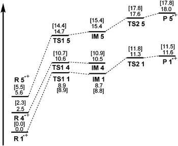 Schematic diagram of the potential energy curves along the intramolecular cycloaddition reaction pathways of R 1·+, R 4·+ and R 5·+. Energies with ZEP corrections are given in kcal mol−1, with results from B3LYP/6-311G(d,p) calculations in normal texts, and Gibbs free energies at 25 °C in [brackets].