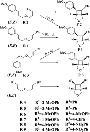 The definitions of the nine kinds of bis(styrenes) and their cyclobutane products.