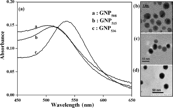 (a) Surface plasmon resonance peaks of GNP508, GNP515 and GNP536. TEM images of the aqueous solution of (b) GNP508, (c) GNP515 and (d) GNP536.