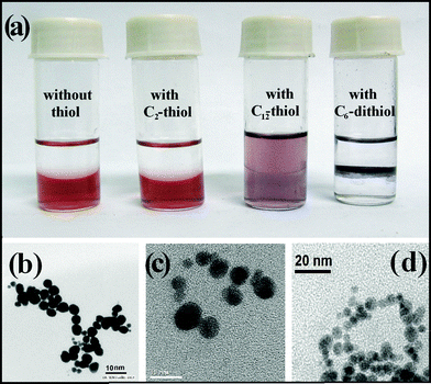 (a) Optical images of GNP508 in a water/isooctane biphasic mixture (without thiol, in the presence of C2-thiol, C12-thiol and C6-dithiol), [GNP] = 0.25 mM; [thiols] = 2.5 mM. TEM images of GNP508 in CTAB reverse micelles (b) in the absence of thiol; (c) in the presence of C12-thiol and d) C6-dithiol.