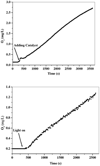 Nano-sized manganese oxide–bovine serum albumin was synthesized and ...