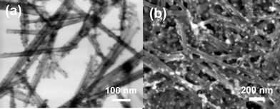 a) Bright field FE-SEM image of Cys-CdTe sensitized hexaniobate nanoscrolls taken with STEM detector on an FE-SEM b) FE-SEM image of CdTe/NbO film after electrophoretic deposition.