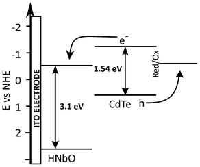Energy band diagrams of CdTe QD and niobate nanosheets and possible energy transfer mechanism.
