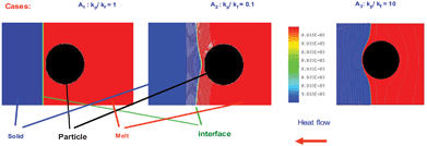 Thermal fields obtained with the numerical model.