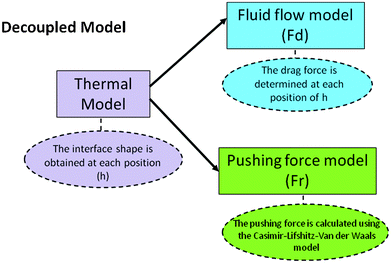 Decoupled model.