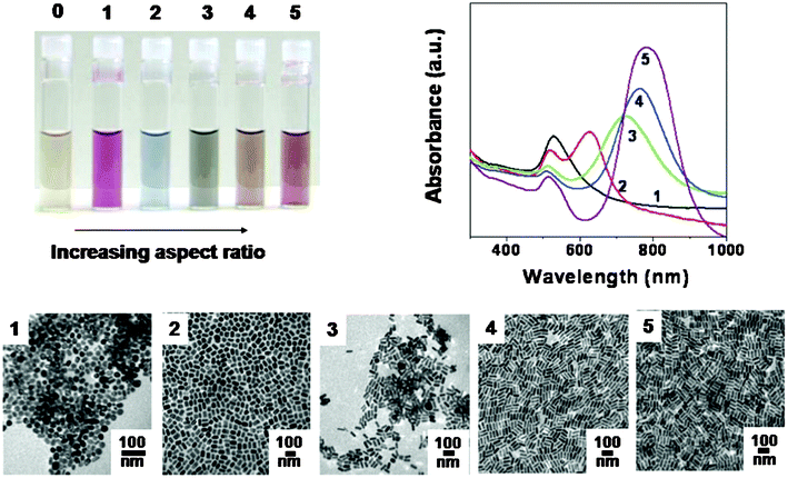 The optical properties of gold and silver nanoparticles change drastically with nanoparticle shape.37