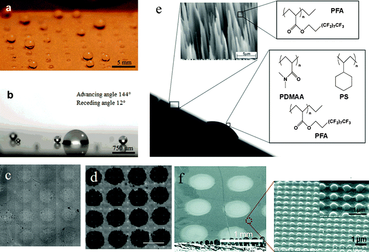 Fog capture surfaces. (a) Small water droplets sprayed on a (PAA/PAH/silica nanoparticle/semi-fluorosilane) superhydrophobic surface with an array of hydrophilic domains patterned with a 1% PAA water–2- propanol solution, and (b) sprayed small water droplets accumulated on the patterned hydrophilic area shown in (a).125 (c) Pulsed plasmadeposited poly(glycidyl methacrylate) array onto a CF4 plasmafluorinated poly(butadiene) surface; (d) the same pattern reacted with 50 μm amino-polystyrene microspheres. The spots of pulsed plasma-deposited poly(glycidyl methacrylate) are 500 μm in diameter and 1 mm center-to-center.34 (e) Side view micrograph of an artificial Stenocara beetle’s back with hydrophilic bumps and hydrophobic background material. Insets show an electron microscopy image of the nanograss structure and the chemical formulas of the polymers that were used for coating the nanograss structure and for constructing bumps.20 (f) FESEM of the SiO2 hydrophilic dot pattern (∼500 μm diameter) on a hydrophobic nanopatterned UV-cured resin surface, and a magnified AFM and SEM image of an imprinted hydrophobic surface (∼400 nm in width, ∼200 nm in depth, and ∼700 nm center-to-center).17