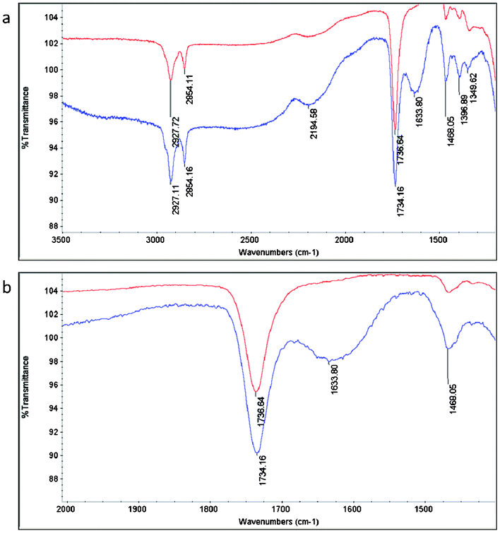 (a) Full and (b) expanded FTIR-ATR spectra of PDC-b (red line) and PDC-Q10-b (blue line) indicating incorporation of QAS as indicated by the emergence of a characteristic C–N stretching pattern at 1633.8 cm−1. Note: peak intensities were purposely offset to increase peak clarity.