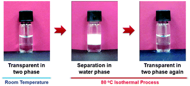 Experimental images of PNIPAM transfer from H2O (upper layer) to [C2MIM][NTf2] (lower layer). The first photo is obtained at room temperature. The second photo was taken when the sample was placed in an 80 °C oil-bath for 1 min, while the third photo was taken after an isothermal process for 6 h at 80 °C.