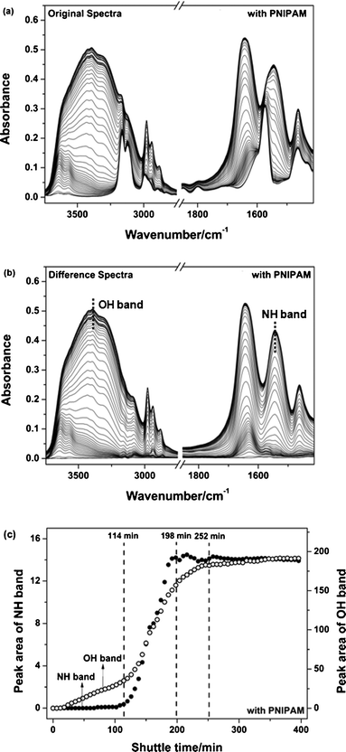 Original (a) and difference (b) spectra in the region (3745–1411 cm−1) at intervals of 6 min during PNIPAM transfer process under homeothermic (80 °C) and quiescent condition. Difference spectra were obtained by subtraction of the IL IR spectrum. (c) The peak area changes of NH and OH bands as a function of transfer time based on difference spectra (●, NH band; ○, OH band).