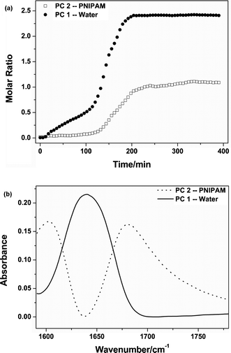 Concentration profiles (a) and split spectra (b) of water and PNIPAM calculated by MCR.