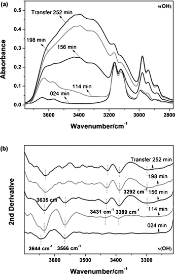 (a) Original spectra of the νOH band in the PNIPAM transfer system at different transfer times (252, 198, 156, 114, 24 min). (b) Second derivatives of the νOH band based on their original spectra.