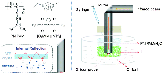 Schematic illustration of the in situ ReactIR and other experimental devices.