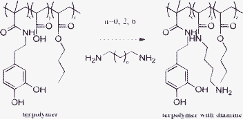 The synthesized terpolymers. Because of the carboxyl in the acrylic acid, the terpolymers could be neutralized by diamines easily. The diamines used here are 1,2-ethanediamine (ED), 1,4-butanediamine (BD) and 1,8-octanediamine (OD), respectively.