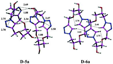 The self-assembly of representative macrocycles in the form of dimeric structures (D-5a and D-6a) showing different interactions. The intramolecular and intermolecular hydrogen bond distances are given in Å units.