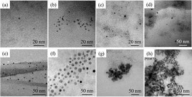 TEM images of Au nanoparticles prepared by accelerated electron beam irradiation in [BuMeIm][Tf2N] with different NaAuCl4·2H2O concentrations. The irradiation dose was 6 kGy. The concentrations were (a) 0.10, (b) 0.25, (c) 0.50, (d) 1.0, (e) 2.5, (f) 5.0, (g) 10 and (h) 20 mmol L−1.