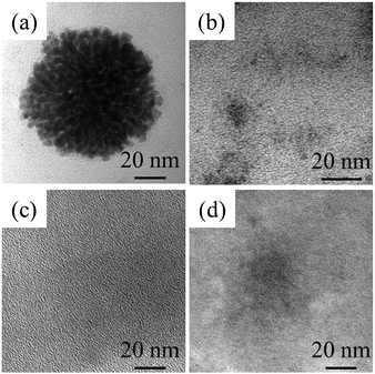 TEM images of Au nanoparticles prepared in [R1MeIm][Tf2N] RTILs with 1.0 mmol L−1 NaAuCl4·2H2O by accelerated electron beam irradiation. The RTILs were (a) [EtMeIm][Tf2N], (b) [HexMeIm][Tf2N], (c) [MeOctIm][Tf2N] and (d) [DecMeIm][Tf2N]. The irradiation dose was 20 kGy.