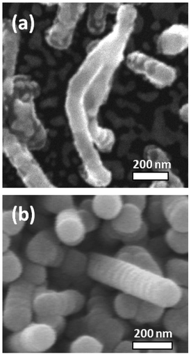 High resolution SEM pictures of CVD-grown TiO2 nanowires. (a) Nanowires combining on top to a single nanowire. This shows that the growth continues from the top. (b) Vertical growth of wires with a spherical tip and radial rings on the diameter.