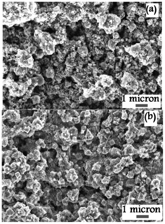 SEM pictures of the light-scattering TiO2 films (a) prepared from CVD particles and (b) JGC_PST-400C.