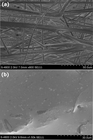 FE-SEM images of the neat PP-NW (a) and PP-NW/[N111]·H2PO4 hybrid membrane (b).