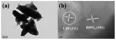 (a) Low-magnification and (b) high-magnification HRTEM images of BC-3.