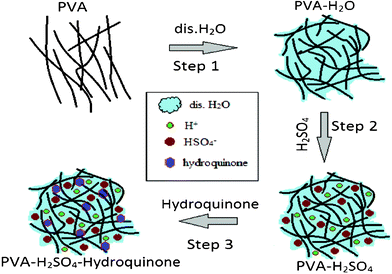 Formation mechanism of the PVA–H2SO4–hydroquinone polymer gel electrolyte.