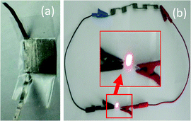 A photograph of a single SC (a) and light emitting diode turned on by five SCs connected in series (b).