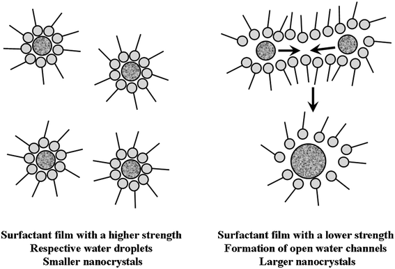 A schematic illustration of the effect of surfactant on the formation of ZnSe nanoparticles in water-in-oil microemulsions.